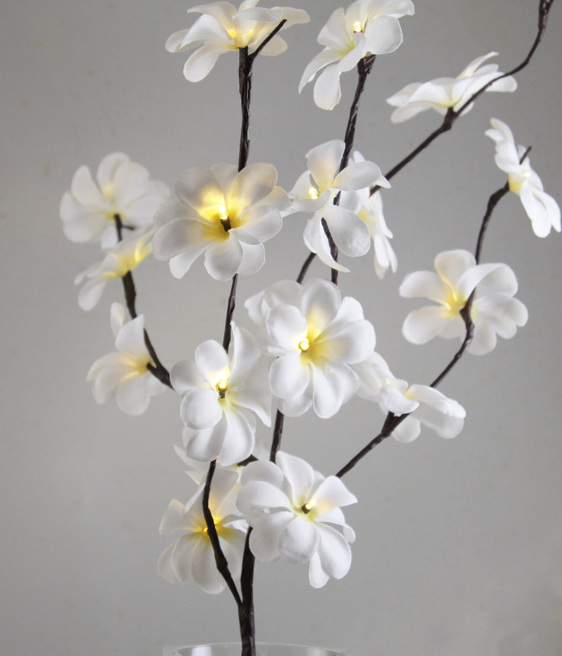 50cm high LED White Frangipani Tree Branch Fairy Light with 20 flowers, perfect for indoor and outdoor decoration.